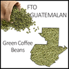 FTO Guatemalan Green Beans, 1lb - m36coffeeroasters